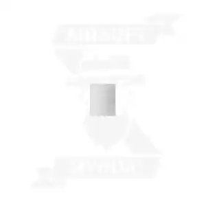 MANTA REPUESTO TAPON PLASTICO QUICKFILLER RAM ZD-3504 - Imagen 1